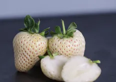 White strawberries first appeared in the 18th century but are not widely displayed at Fruit Logistica. Emco Cal presented the new Florida Pearl strawberry variety. Its flesh is white, the outside blushes slightly when ripe, while the seeds turn red. Florida Pearl was created by crossing the seeds of Japanese white strawberries with Florida strawberries (Photo: Fruit Logistica).